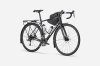 Trek Domane AL 2 44 Gloss Supernova