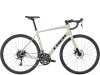 Trek Domane AL 2 52 Gloss Supernova
