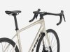 Trek Domane AL 2 52 Gloss Supernova
