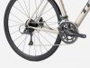 Trek Domane AL 2 52 Gloss Supernova